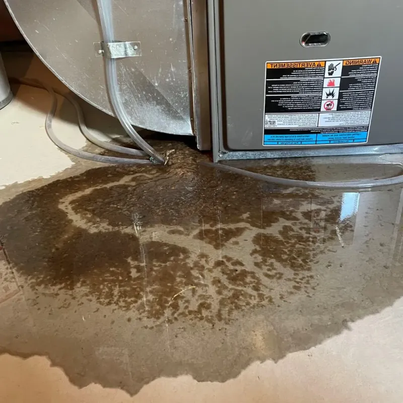 Pipe Burst and Leak Restoration in Bay Harbor, MI