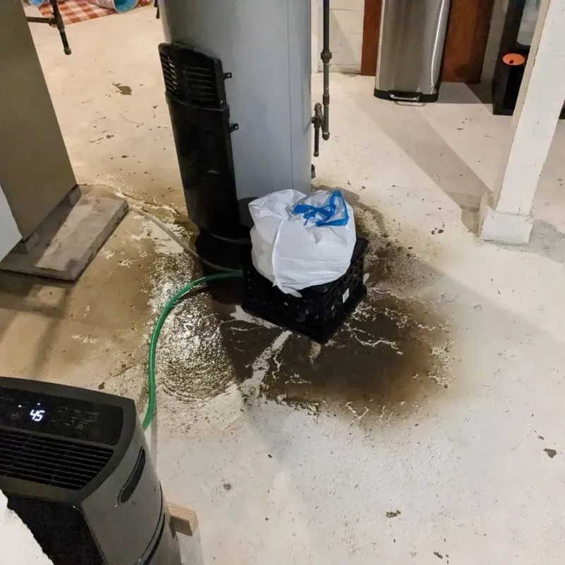 Sewage Backup Cleanup Service in Bay Harbor, MI